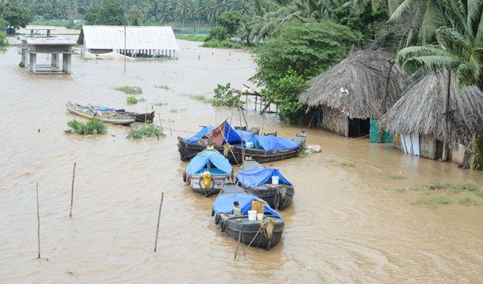 Heavy Rain Lashes Krishna & Godavari Districts Area Photos