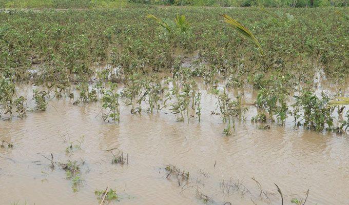 Heavy Rain Lashes Krishna & Godavari Districts Area Photos