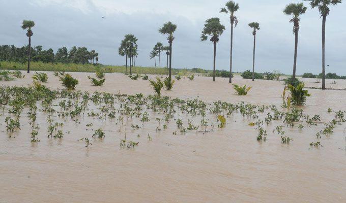 Heavy Rain Lashes Krishna & Godavari Districts Area Photos