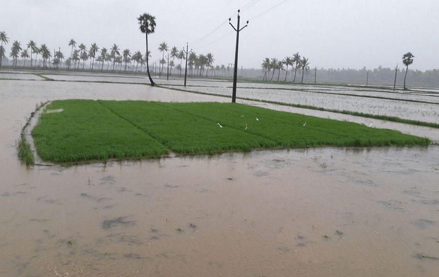 Heavy rains continue to lash out Hyderabad City