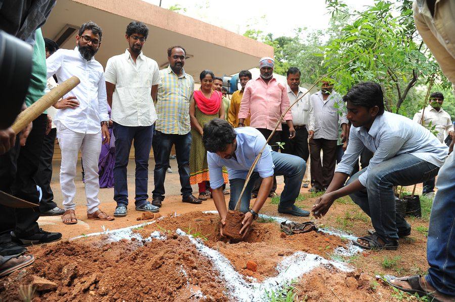 Hero Nani Participate in Harithaharam