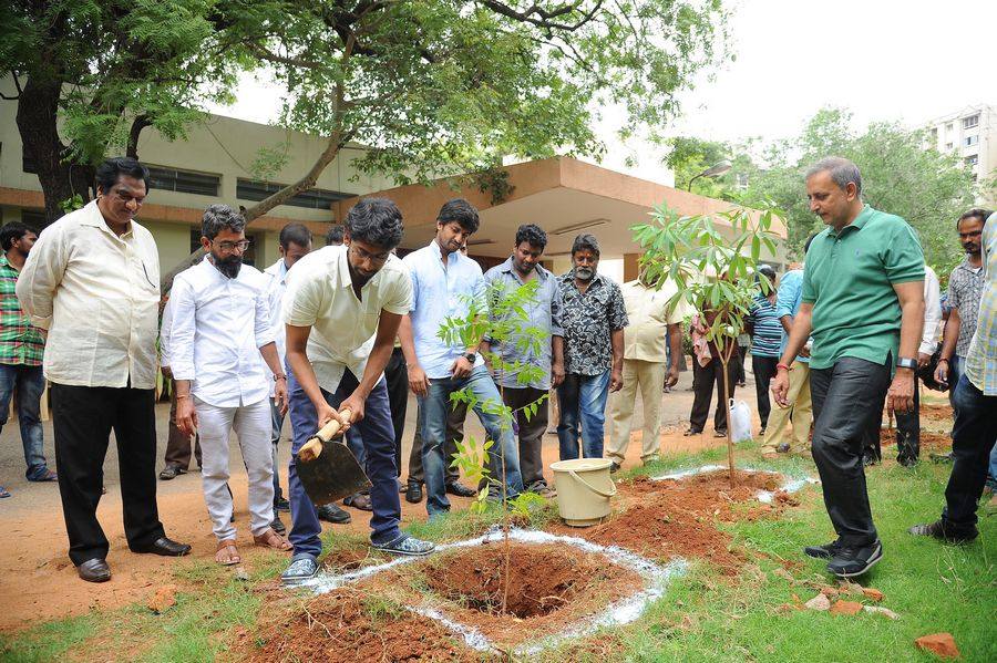 Hero Nani Participate in Harithaharam