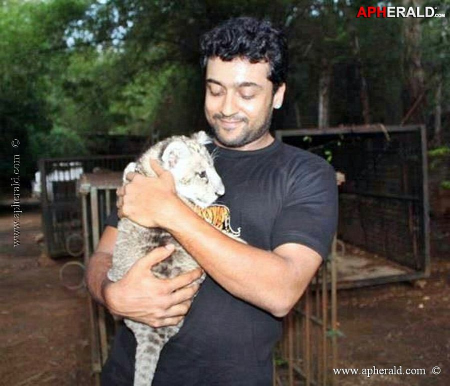 Hero Surya Rare and Unseen Pictures