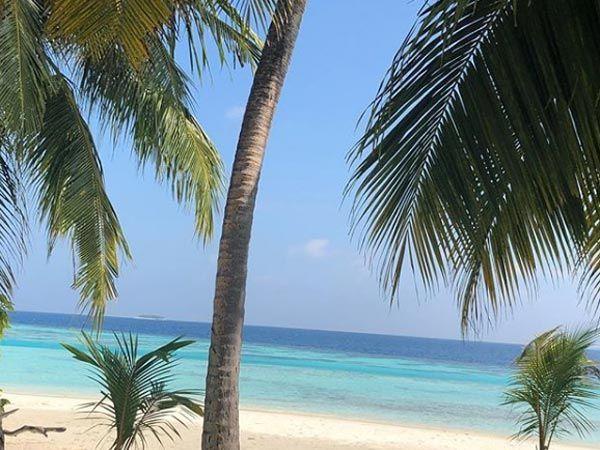 Honeymoon Pictures! Sagarika Ghatge & Zaheen Khan Have a Beachy Time In Maldives