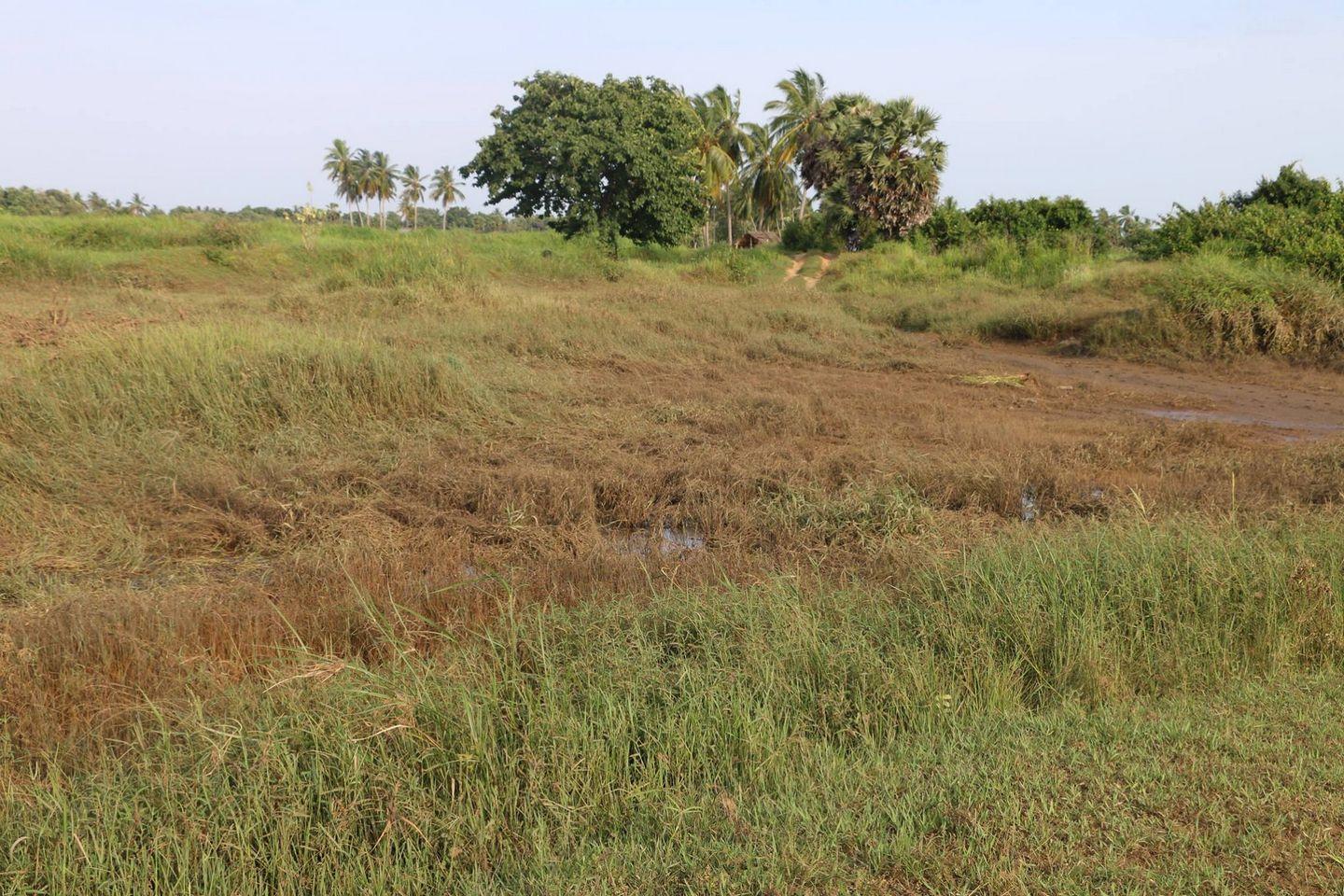 How Sterlite affected Farming Photos