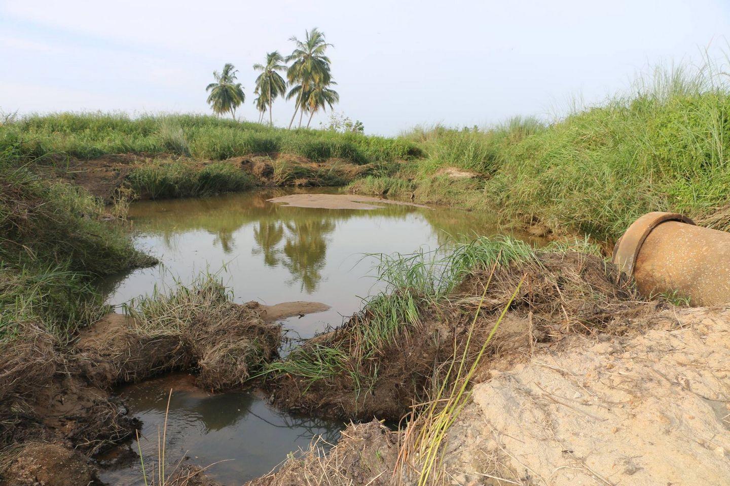 How Sterlite affected Farming Photos