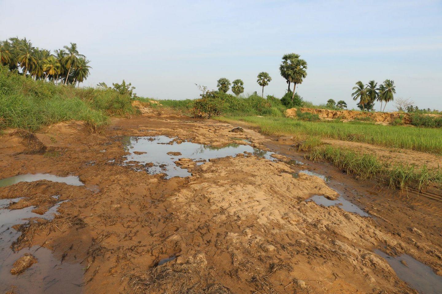 How Sterlite affected Farming Photos