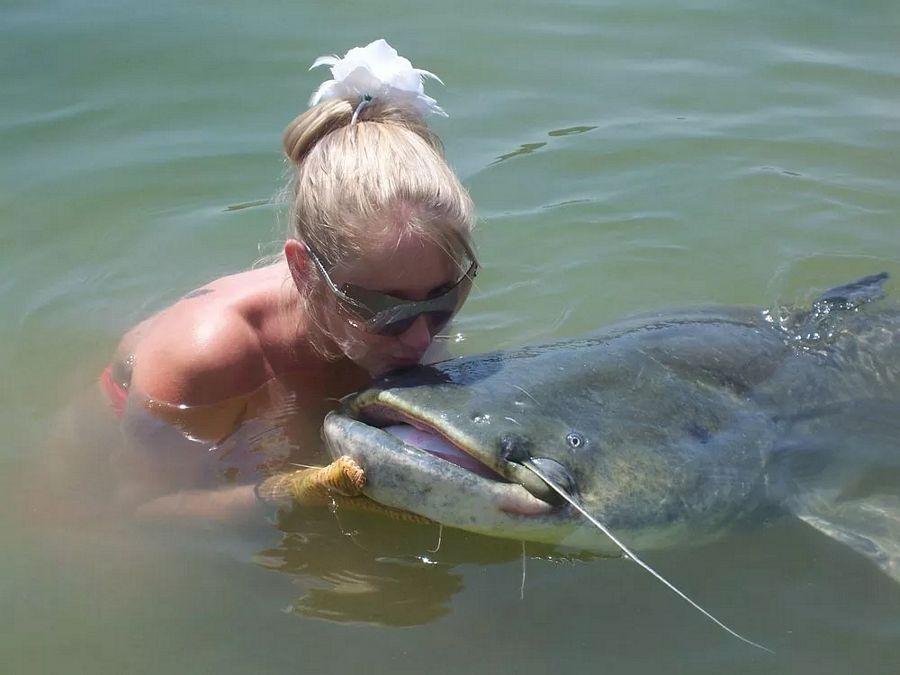 INCREDIBLE HUGE Giant European CATFISH PHOTOS