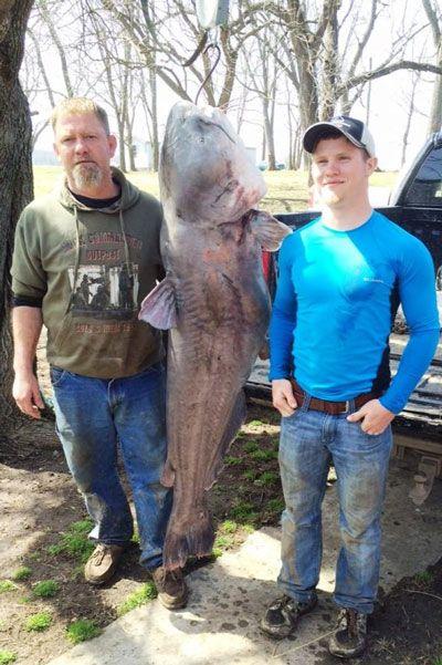 INCREDIBLE HUGE Giant European CATFISH PHOTOS