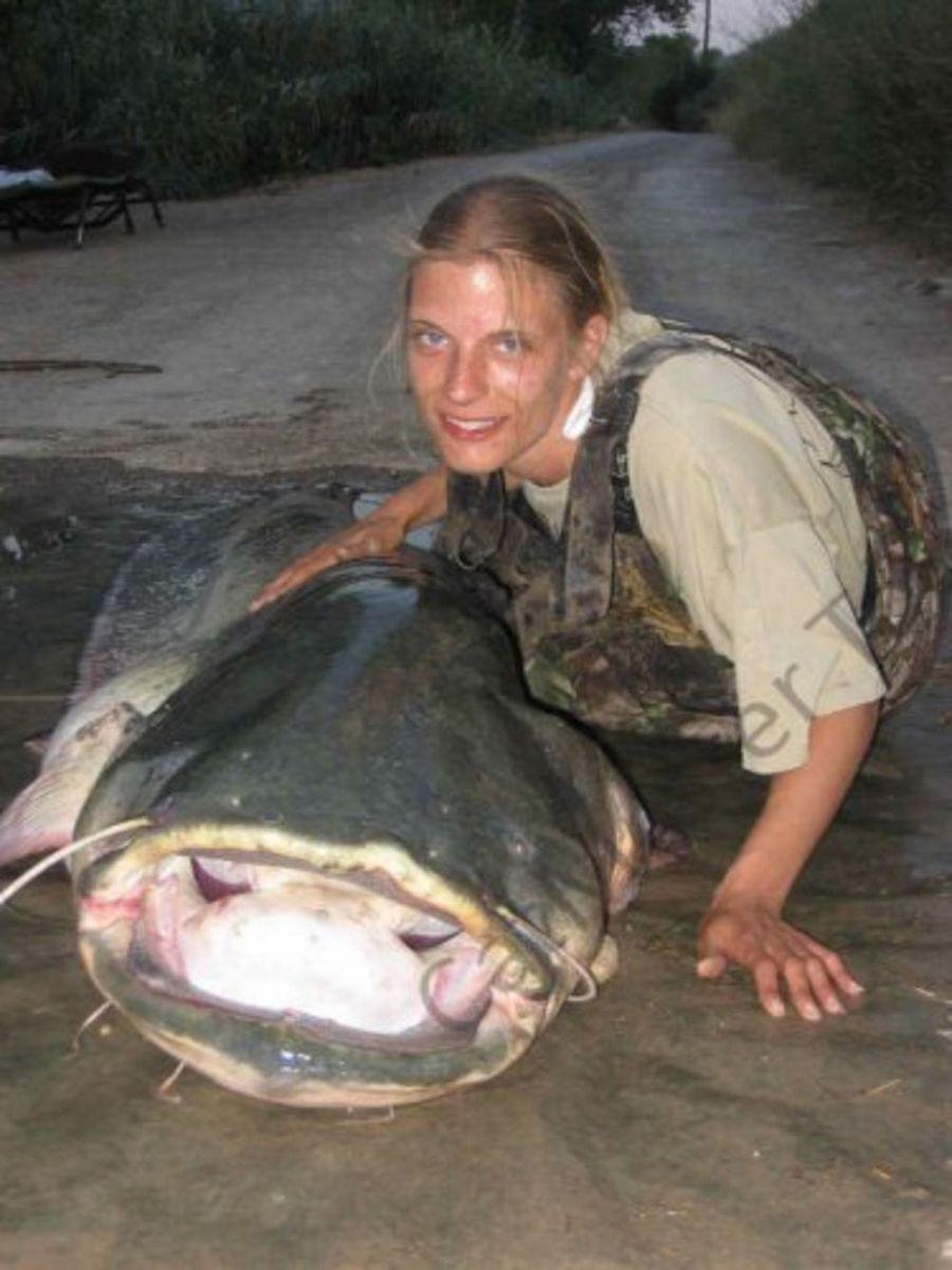 INCREDIBLE HUGE Giant European CATFISH PHOTOS