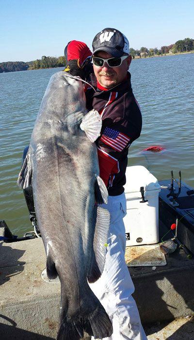 INCREDIBLE HUGE Giant European CATFISH PHOTOS