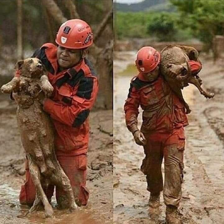 Indian Army & Local Fishermen’s out there in Kerala for rescuing hundreds of life