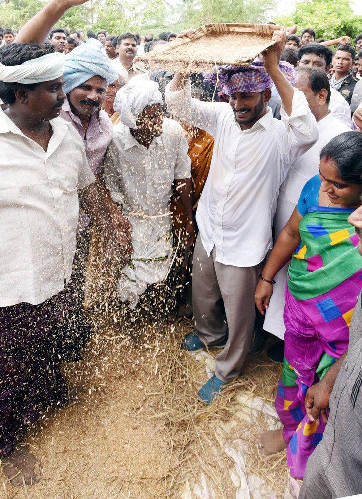 Jagan Praja Sankalpa Yatra Day 169 Photos