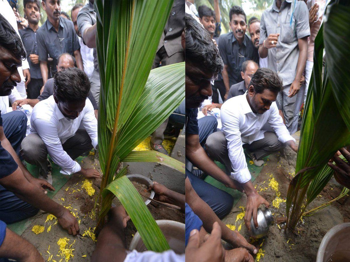 Jagan Praja Sankalpa Yatra Day 195 Photos