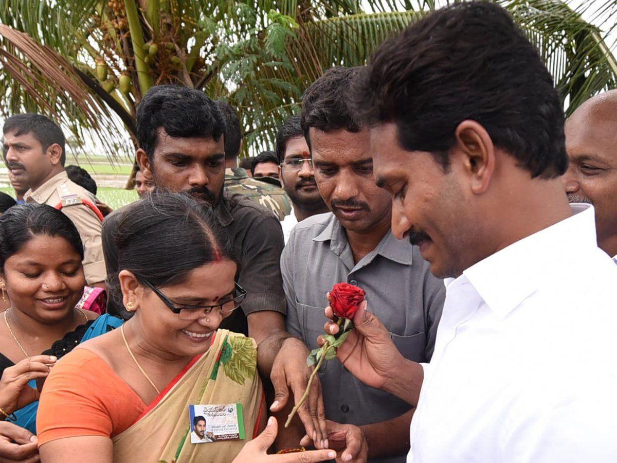 Jagan Praja Sankalpa Yatra Day 212 Photos