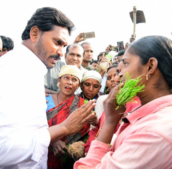 Jagan Praja Sankalpa Yatra Day 29 Photos