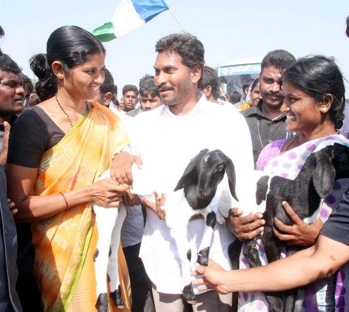 Jagan Praja Sankalpa Yatra Day-37 Photos