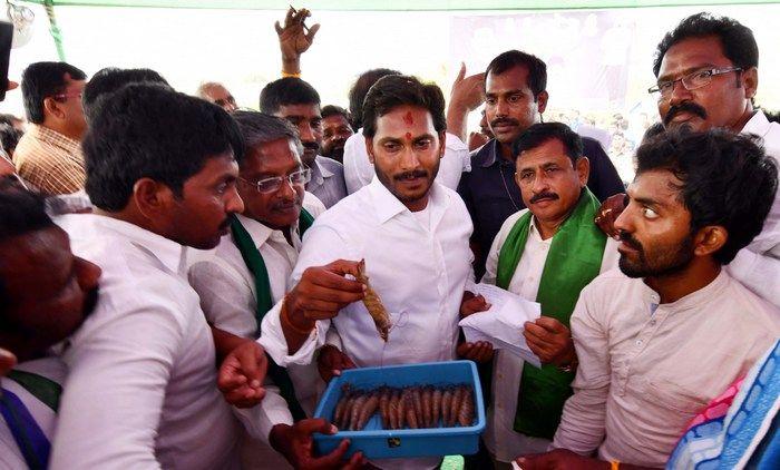 Jagan Praja Sankalpa Yatra Day-80 Photos