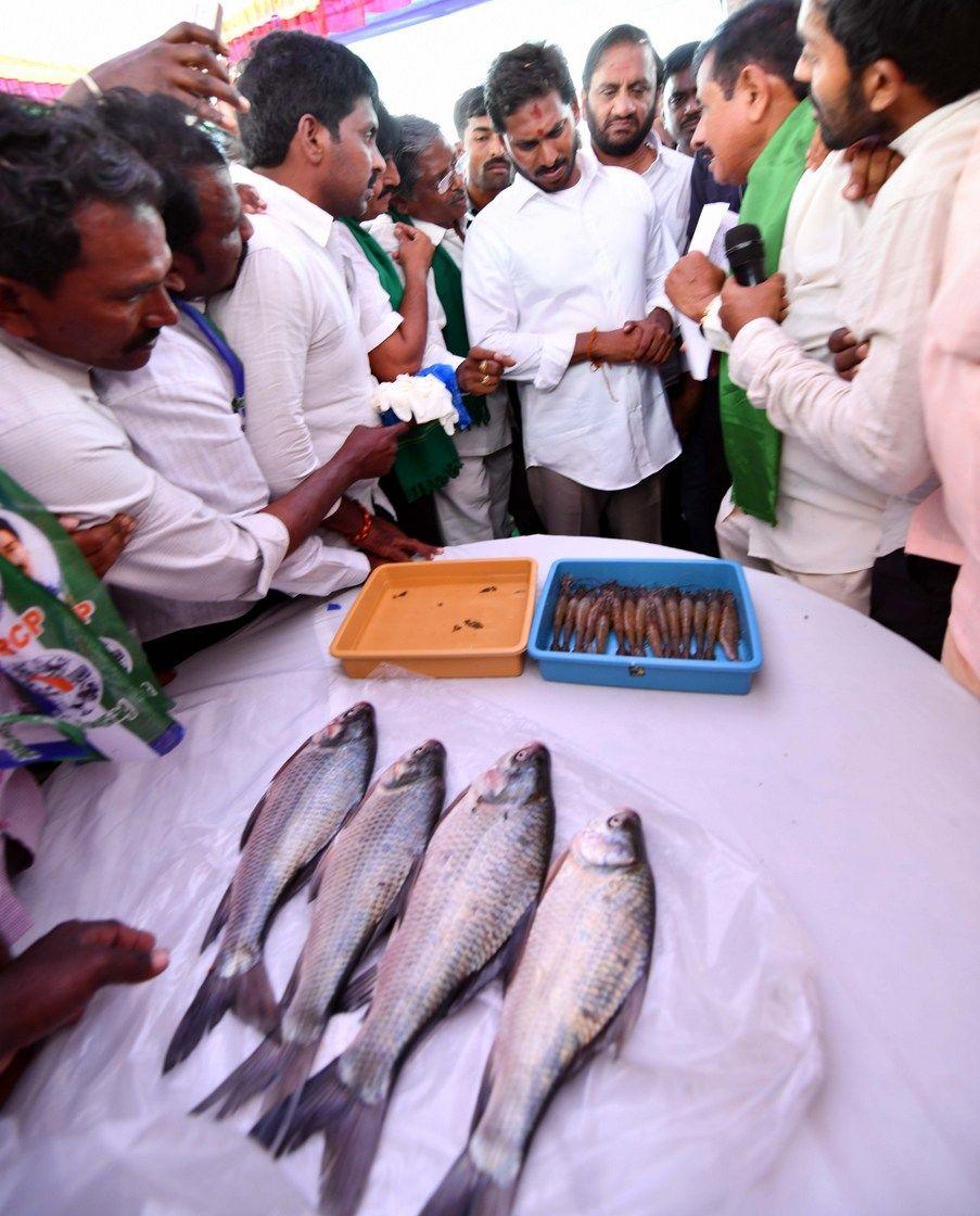 Jagan Praja Sankalpa Yatra Day-80 Photos