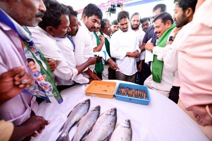 Jagan Praja Sankalpa Yatra Day-80 Photos