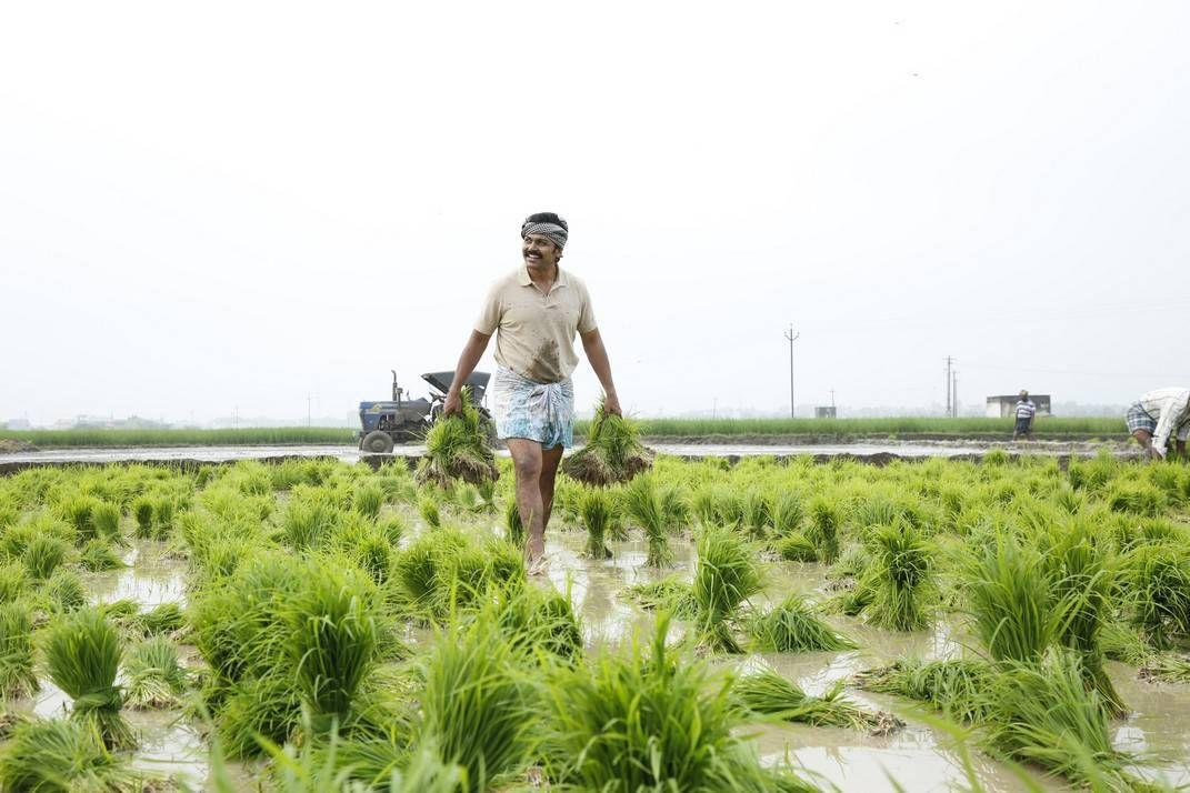 Karthi Kadai Kutty Singam Tamil Movie Stills