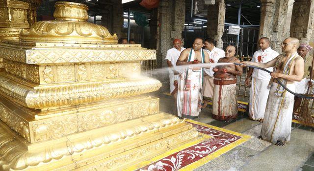 Koil Alwar Thirumanjanam Seva in Tirumala Photos