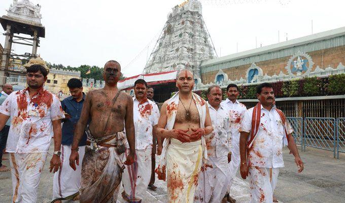 Koil Alwar Thirumanjanam Seva in Tirumala Photos