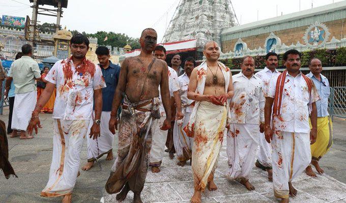 Koil Alwar Thirumanjanam Seva in Tirumala Photos