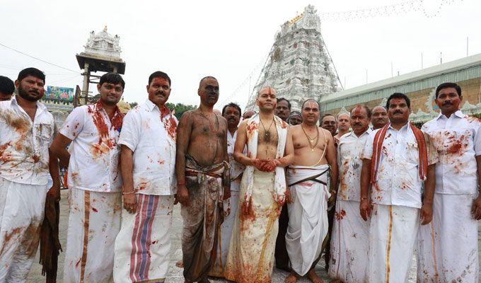 Koil Alwar Thirumanjanam Seva in Tirumala Photos