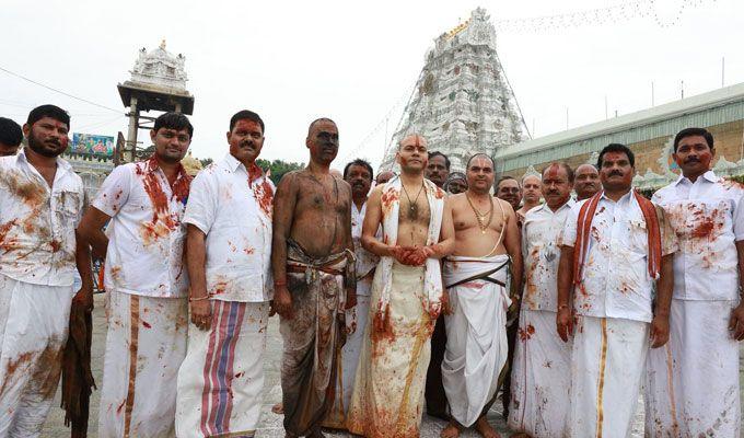 Koil Alwar Thirumanjanam Seva in Tirumala Photos