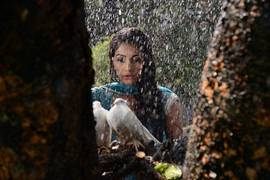 Laila o Laila Movie Stills