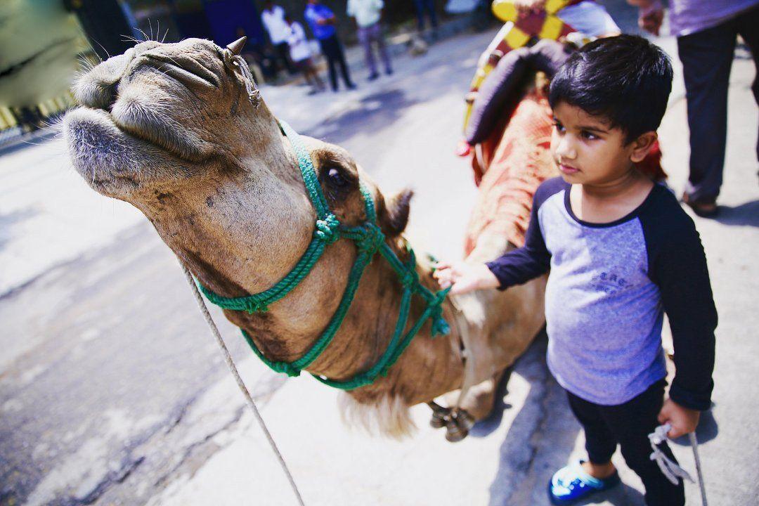 Little Allu Ayaan enjoying his summer rides!