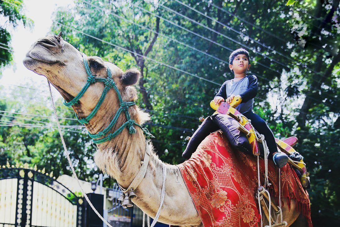 Little Allu Ayaan enjoying his summer rides!