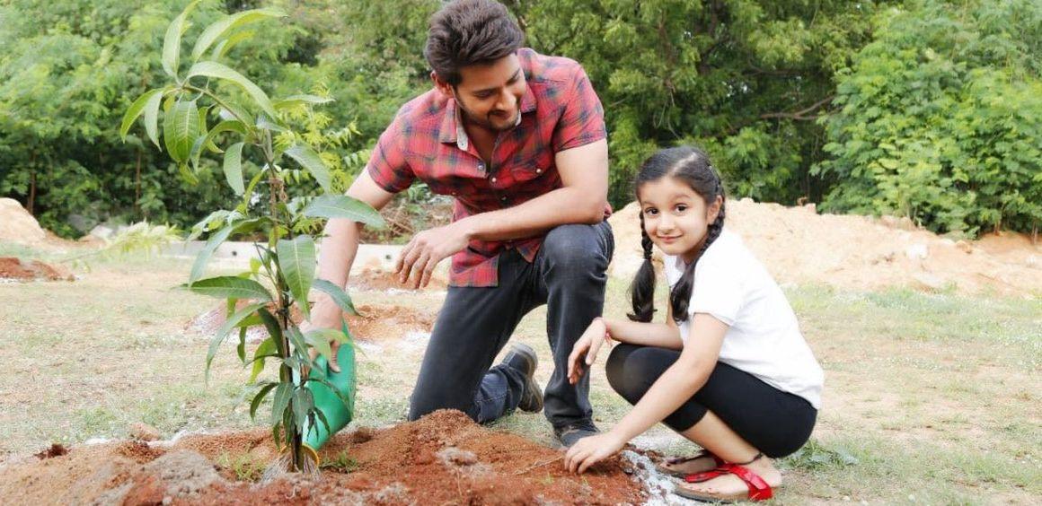 Mahesh Babu along with his daughter participate in Haritha Haram