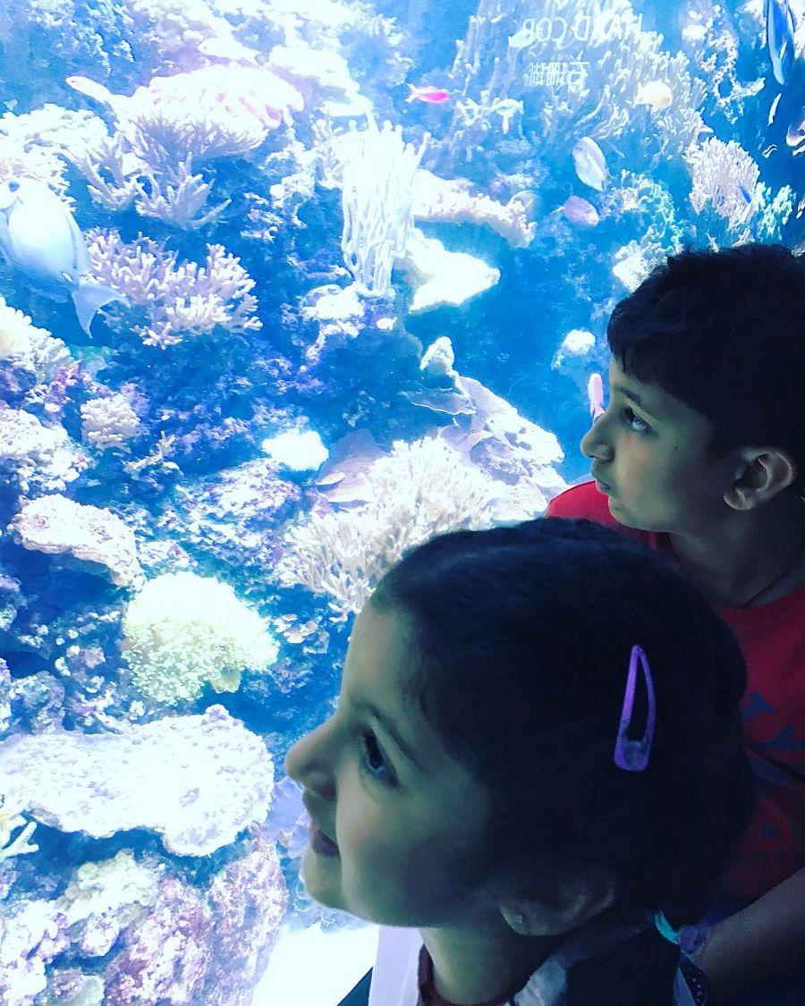 Mahesh Daughter Sitara Ghattamaneni Rare & Unseen Photos