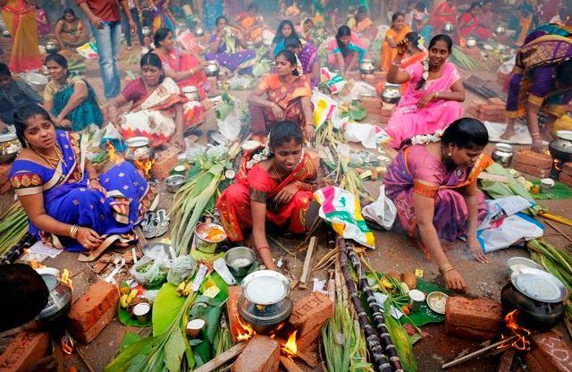 Makar Sankranti 2018 Celebrations Photos