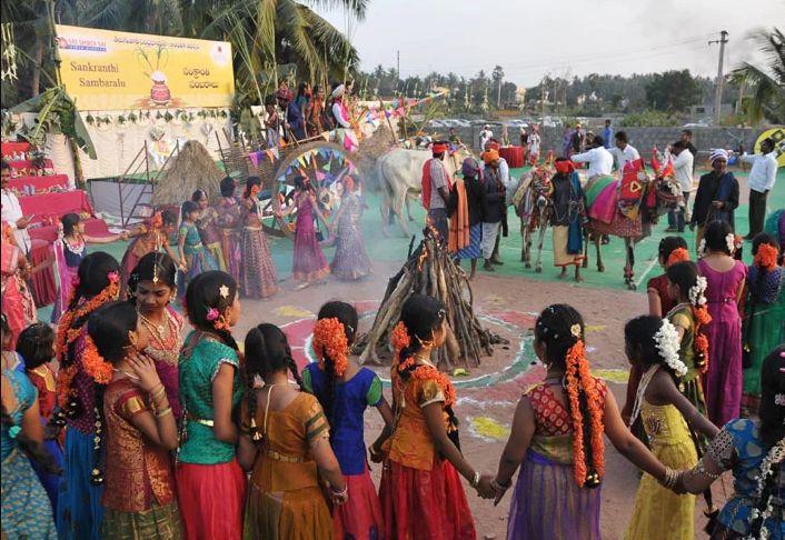 Makar Sankranti 2018 Celebrations Photos