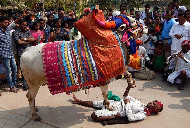 Makar Sankranti 2018 Celebrations Photos