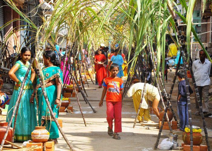 Makar Sankranti 2018 Celebrations Photos