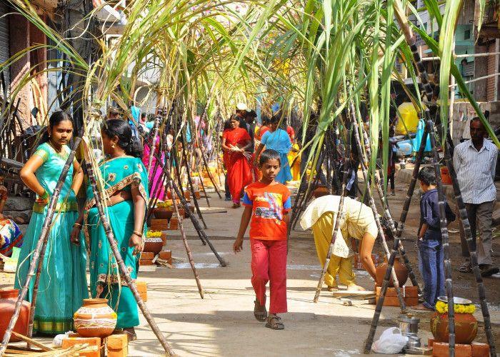 Makar Sankranti 2018 Celebrations Photos