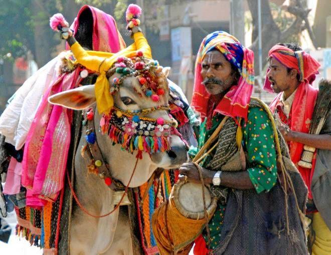 Makar Sankranti 2018 Celebrations Photos