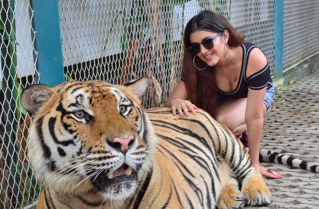 Malvika Sharma ‏New Unseen Pics