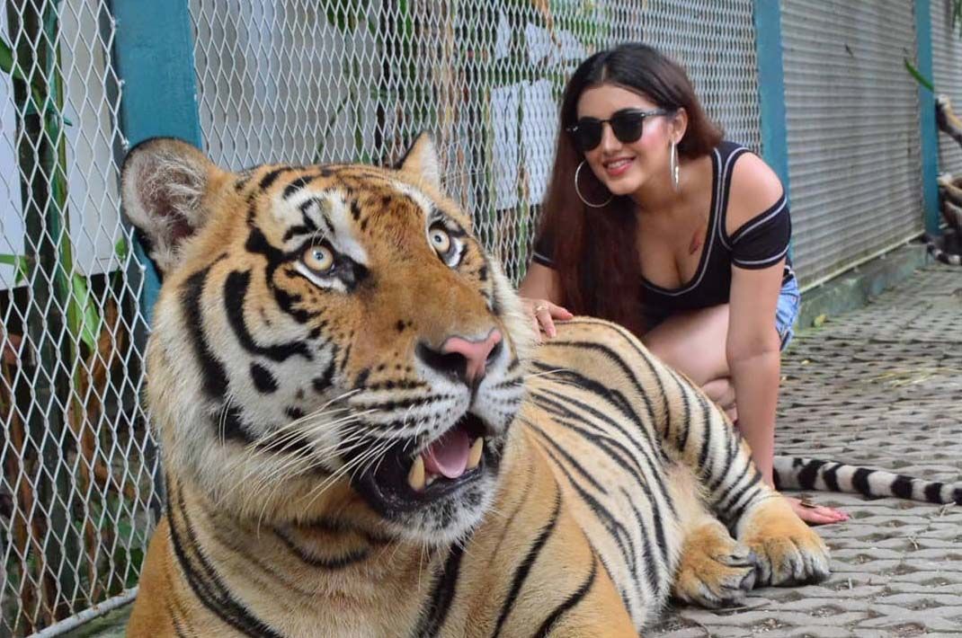 Malvika Sharma ‏New Unseen Pics