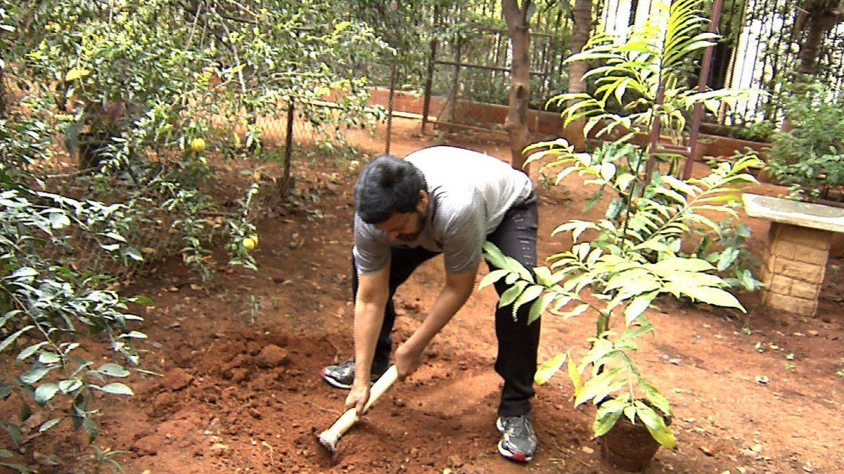 Megastar Chiranjeevi participating in Harithaharam Photos