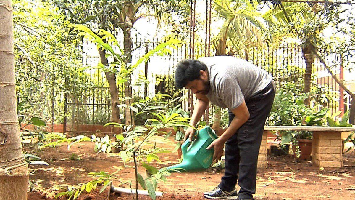 Megastar Chiranjeevi participating in Harithaharam Photos