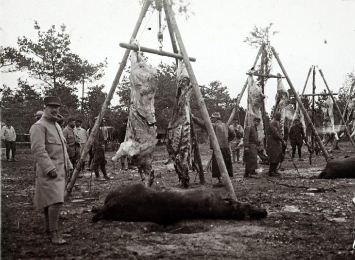 Never Before Seen Photographs From First World War Photos