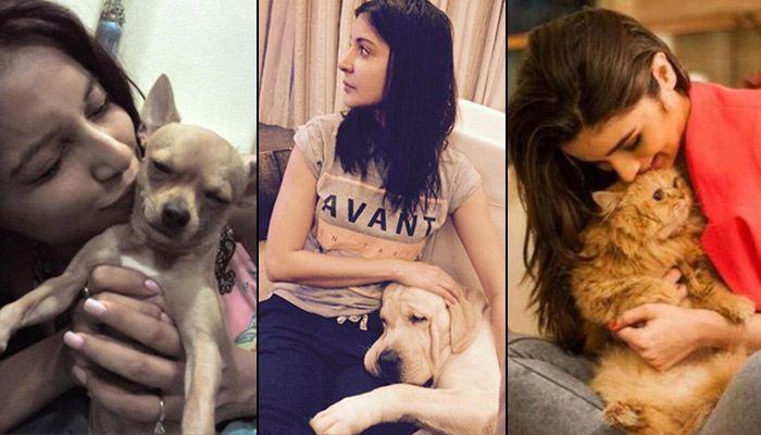 PHOTOS: Indian Celebrities With Their Super Adorable Pets