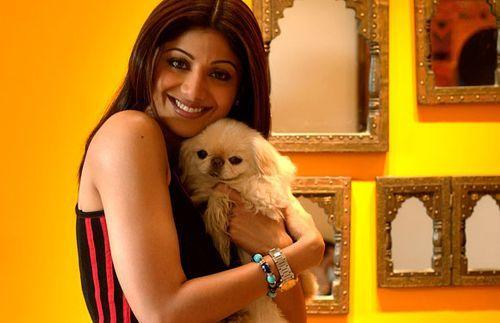 PHOTOS: Indian Celebrities With Their Super Adorable Pets