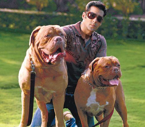 PHOTOS: Indian Celebrities With Their Super Adorable Pets