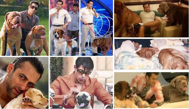 PHOTOS: Indian Celebrities With Their Super Adorable Pets